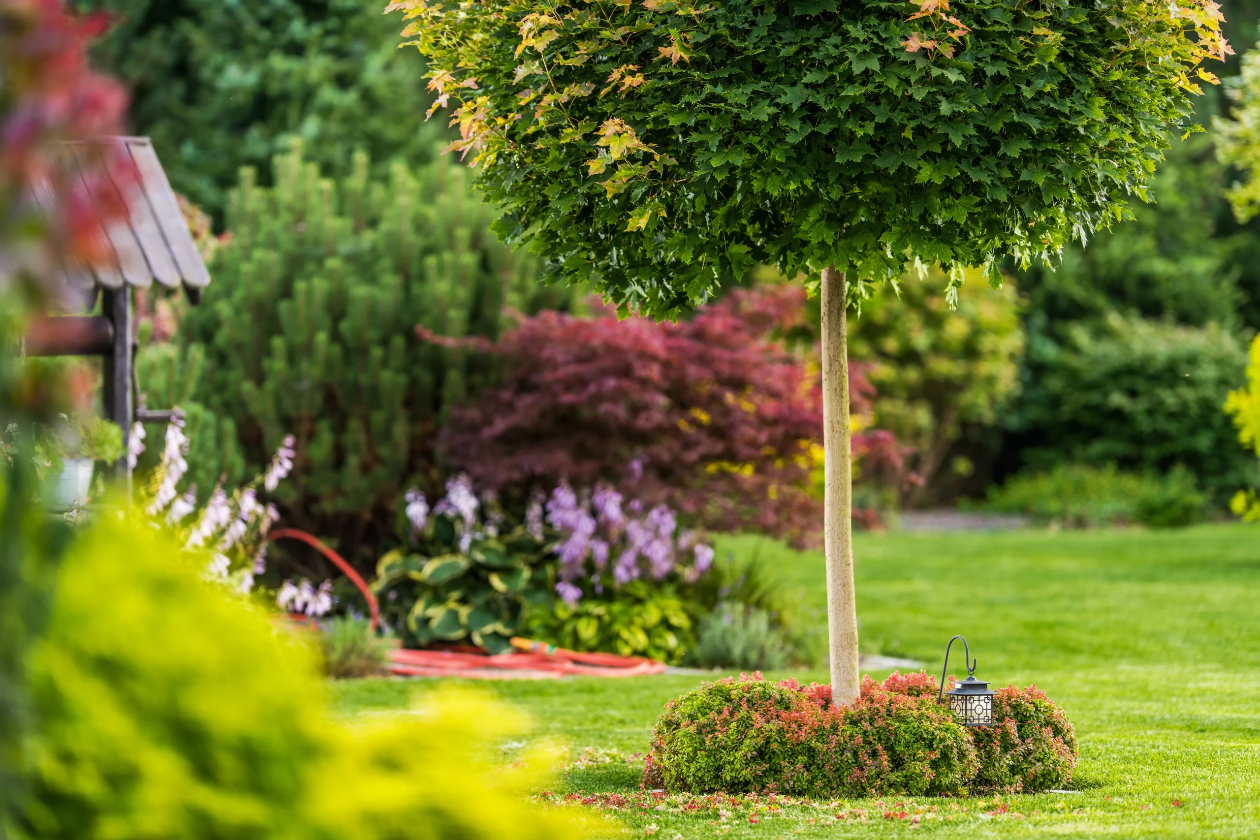 Backyard garden tree service Connecticut — Roldan Landscaping