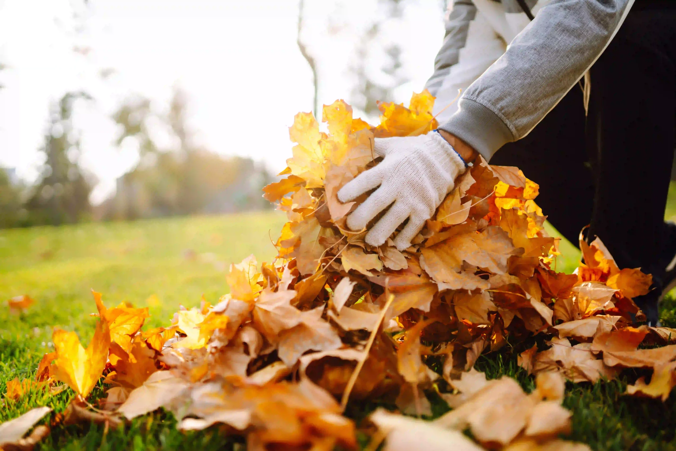 Spring and fall clean-up — Roldan Landscaping Connecticut