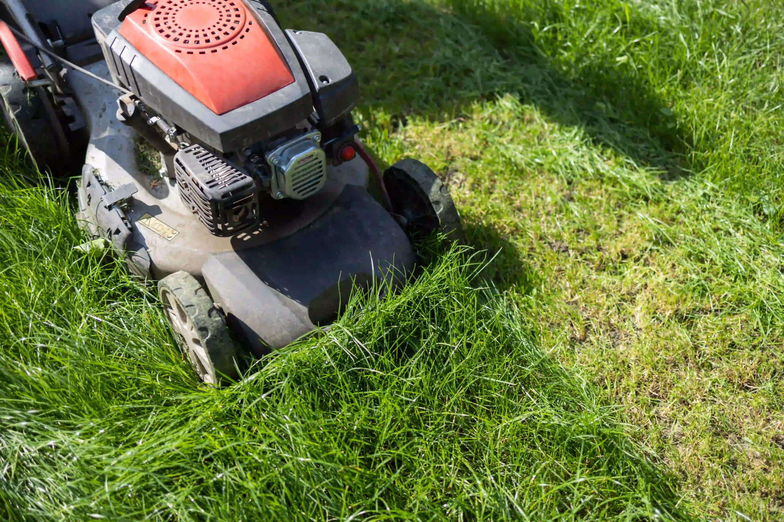 Lawn cutting service — Roldan Landscaping Connecticut