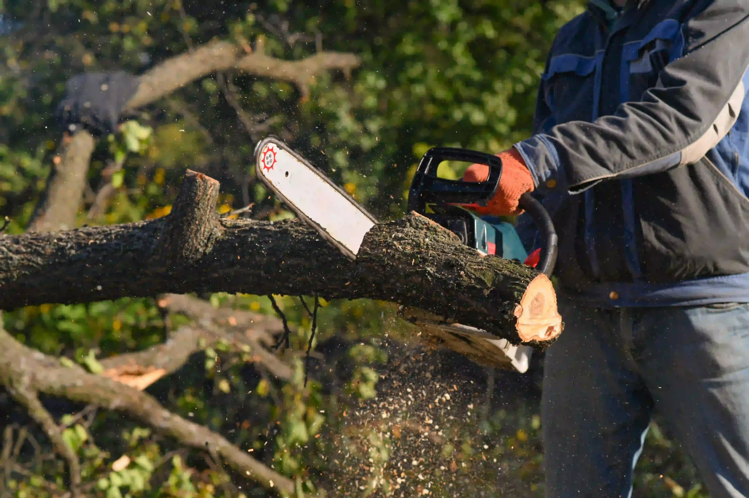 Professional landscaper trimming a green hedge — Roldan Landscaping Connecticut