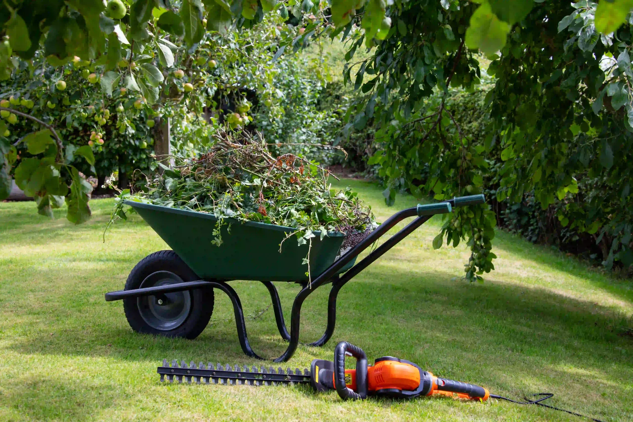 Property maintenance — Roldan Landscaping Connecticut