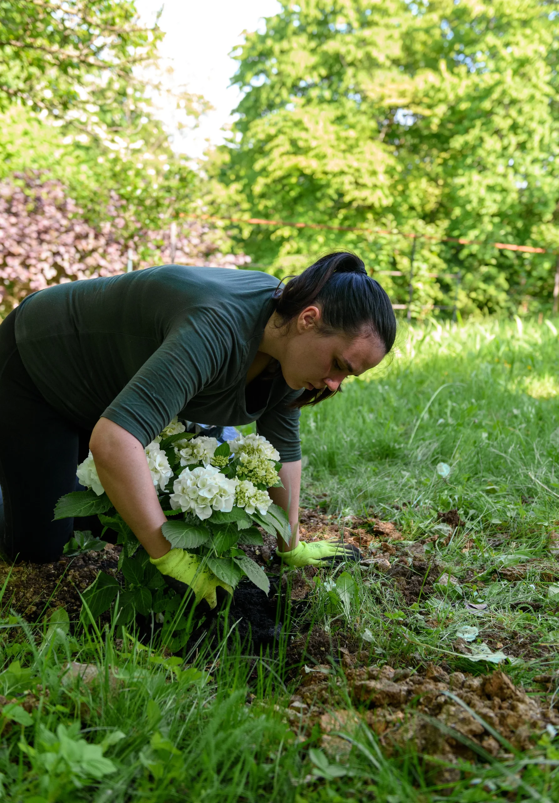 Weeding service Connecticut — Roldan Landscaping